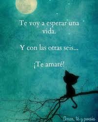 Tengo Todo El Tiempo Que Me Queda 3 Te Voy A Esperar Te Amo Frases De Palabras