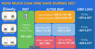 the monetary cost of national service ns