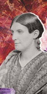 In 19th-Century New England, This Amateur Geologist Created Her Own Cabinet  of Curiosities — Bunk History