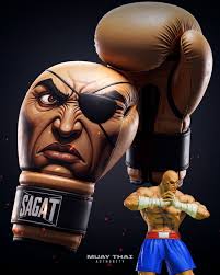 Hi folks! Does anyone know if these specific gloves are still available?  Either new or used. Pleaseshare and see if any other martial artists might  know.