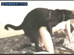 Hot Porn Dog Art Of Zoo Zootrex Free Amateur Porn