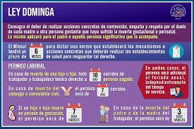 La iniciativa, también llamada ley dominga, está en segundo trámite constitucional y deberá ser votada en particular en la misma comisión, para luego ser ratificada en la sala de la cámara. Tcsrvv7zbb5vcm