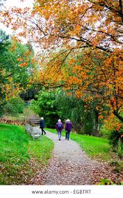 Pin On Autumn