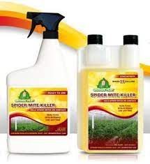 Spider Mite Killer All Natural Kills Adults Eggs On Contact Growers Trust