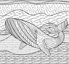 Credit to the original picture uploader. Whale Colouring Page Printable Thrifty Mommas Tips