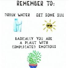 Anything else you're interested in is not going to happen if you can't breathe the air and drink the water. Aloyoga Inspirational Quotes Pretty Words Words