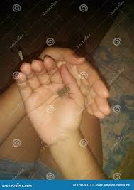 Jorge Armando Bonilla Paz (Angelus7164256)