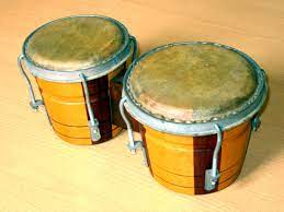Salsa music drums musicals instruments percussion instrument clothing patterns passion country latin music. Bongo Drum Wikipedia