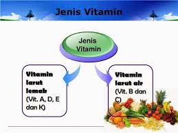 Vitamin b dapat membantu tubuh dalam mengolah karbohidrat menjadi energi, serta berperan dalam fungsi jantung. Apa Yang Anda Perlu Tahu Tentang Vitamin Larut Lemak Sihat Net