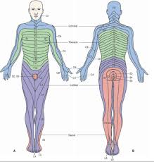 Cervical Radiculopathy Part 1 Clinical Presentation