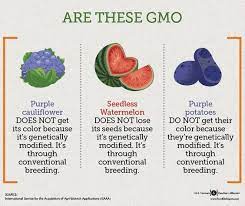 Pin On Ag Biotech