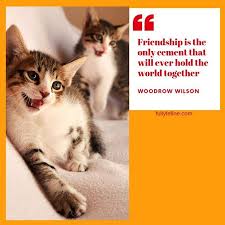Check spelling or type a new query. True Friendship Quote Quoteoftheday Inspiration Feline Daily Quotes Quote Of The Day