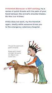 Dogs love to chew bones, sticks, toys, socks and anything small enough to fit into their mouths. Pet First Aid Awareness Heimlich Maneuver Could Save Your Pet S Life Red And Howling