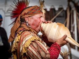 Image result for Alafia orientalis