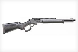 Marlin camp 9 / s&w 5904. Marlin 1895 Dark Series Lever Action Rifle Review