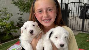 Fundraiser for Rebekah McCoy by Tess McWilliams : Help Annabelle Raise  Funds for a Service Dog