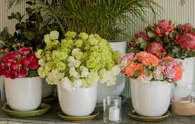 Maybe you would like to learn more about one of these? Sydney Markets Fresh Floral Arrangements Create The Signature Look For The Popular Boat House Cafes