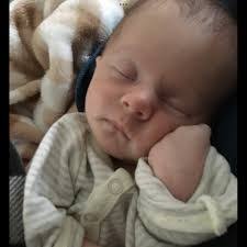 Paula Lapp's Instagram, Twitter & Facebook