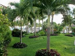 Westcoast Landscape And Lawns Landscape Plan Front Yard Landscape Garden Landscape Fresh Landscaping Plants Central Florida Landscaping Plants Ideas Landscaping Plants In India Landscaping Plants In Florida Landscaping Plants Pick the right plants to landscape the front yard.