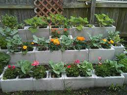 Cinder block garden is something you have to put in your garden area. 15 Creative Cinder Block Raised Garden Beds Garden Lovers Club