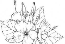These flowers are uniquely beautiful in their way. Printable Coloring Pages Of Hawaiian Flowers Coloring Home