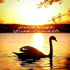 كلما أعطيت بلا مقابل ر زقت بلا توقع Nan Pictures Layout