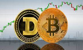 Bitcoin Vs Dogecoin Jenis Yang Berbeda Coinshark