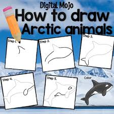 How To Draw Arctic Animals By Digital Mojo Teachers Pay Teachers Arctic Animals Artic Animals Whale Crafts