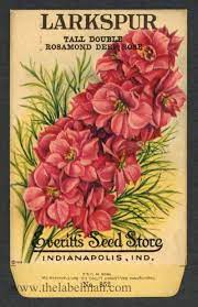Everitt S Seed Store Larkspur 852 Vintage Seed Packet Flower Seeds Packets Vintage Seed Packets Seed Packets