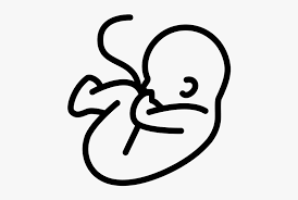 Class Lazyload Lazyload Mirage Cloudzoom Featured Image Baby In Womb Svg Hd Png Download Transparent Png Image Pngitem