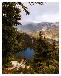 The views (and altitude difference) at Mount Rainer were breathtaking 😅