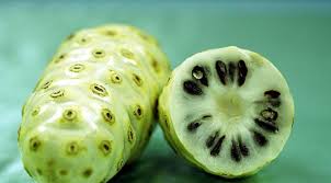 Maybe you would like to learn more about one of these? Rahasia Daun Mengkudu Cewek Harus Tahu 2 Khasiatnya Lifestyle Fimela Com