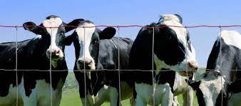Maybe you would like to learn more about one of these? Field Fence Field Fence Spacing Installation Information