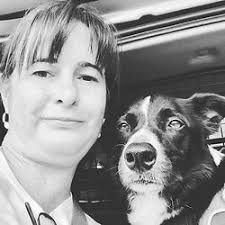 Dog Training and Walking in Epsom