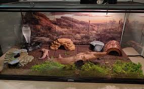 Image result for Terrarium Cling Background