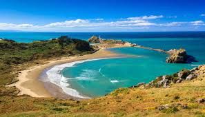 Your partner must support your application. New Zealand In December 2021 When Festive Spirits Are High