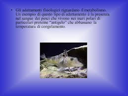 Gli Adattamenti Ppt Video Online Scaricare
