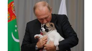 Vladimir Putin gets puppy for his ...