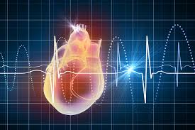 What Your Heart Rate Is Telling You Harvard Health