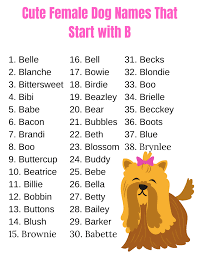 From cabaret to candy, these sweet puppy names that start with c will put your bundle of joy at the top of the list! Female Dog Names That Start With C Or K