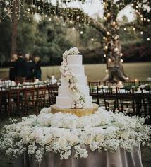 After getting your ticket scanned, you will be free to wander around the entire 35 acre field among 5 million tulips, take photos and enjoy yourself. The 10 Best Lakeland Ga Wedding Cake Bakeries The Knot