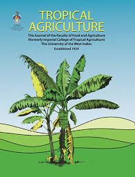 Image result for Lagenaria breviflora