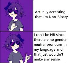 Www.shelleyroth.com learn about non binary genders and why misgendering affects your bottom line; I Can T Be Nb Since There Aren T Any Gender Neutral Pronouns In My Language And That Just Wouldn T Make Any Sense Coolyori Sayori Drake Meme Know Your Meme