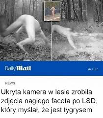 Znalezione obrazy dla zapytania memy ukryta kamera