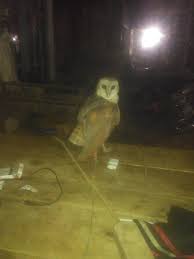 Для просмотра онлайн кликните на видео ⤵. Cariu Parm Posts Facebook