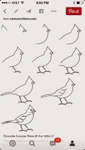 Check spelling or type a new query. How To Draw A Cardinal Bird Drawings Art Drawings Drawings