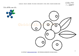 Driscoll's has now patented many blueberry varieties, which means that these wonderfully delicious blueberries can only be found in a driscoll's package. Example Coloring Page Blue Berries Color Picture Of Blue Berries
