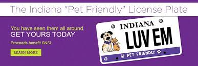 Our foster families provide homeless, abandoned, or abused pets with the love and training needed to heal their wounds, which allows. Pawsitively 4 Paws Home Facebook