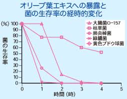 オリーブ葉エキス 栄養素の説明 栄養療法 薬だけに頼らない根本治療をめざす 心と身体に優しい治療法 オーソモレキュラー栄養医学研究所