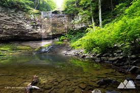 Maybe you would like to learn more about one of these? Cloudland Canyon Waterfalls Trail